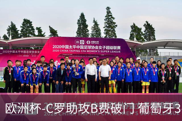 欧洲杯-C罗助攻B费破门 葡萄牙3-0土耳其